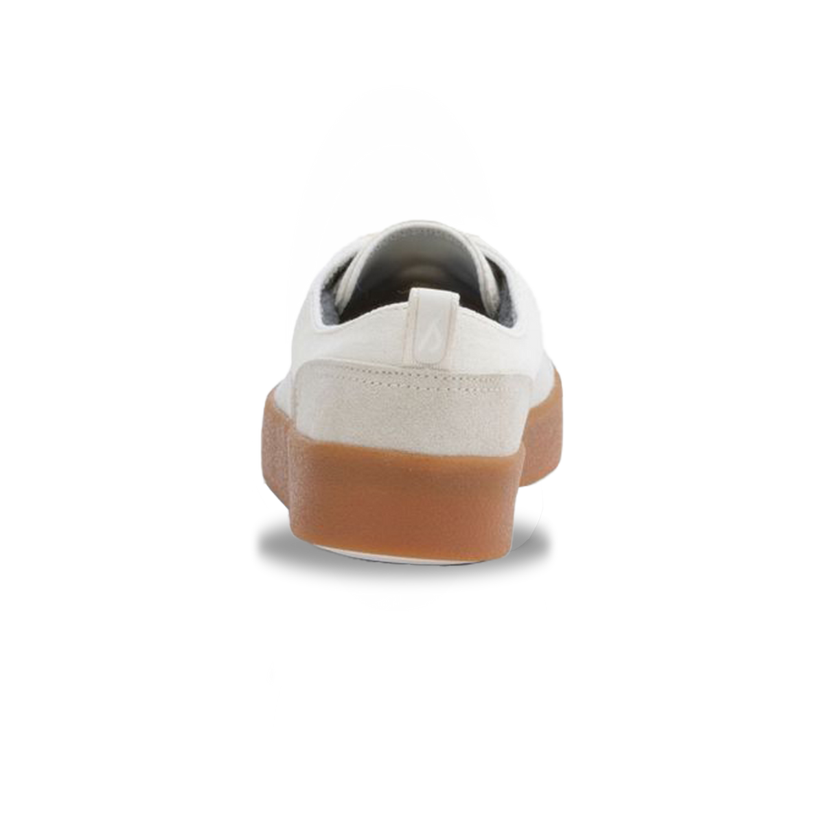 Allbirds M Cruiser Coastal in BEIGE